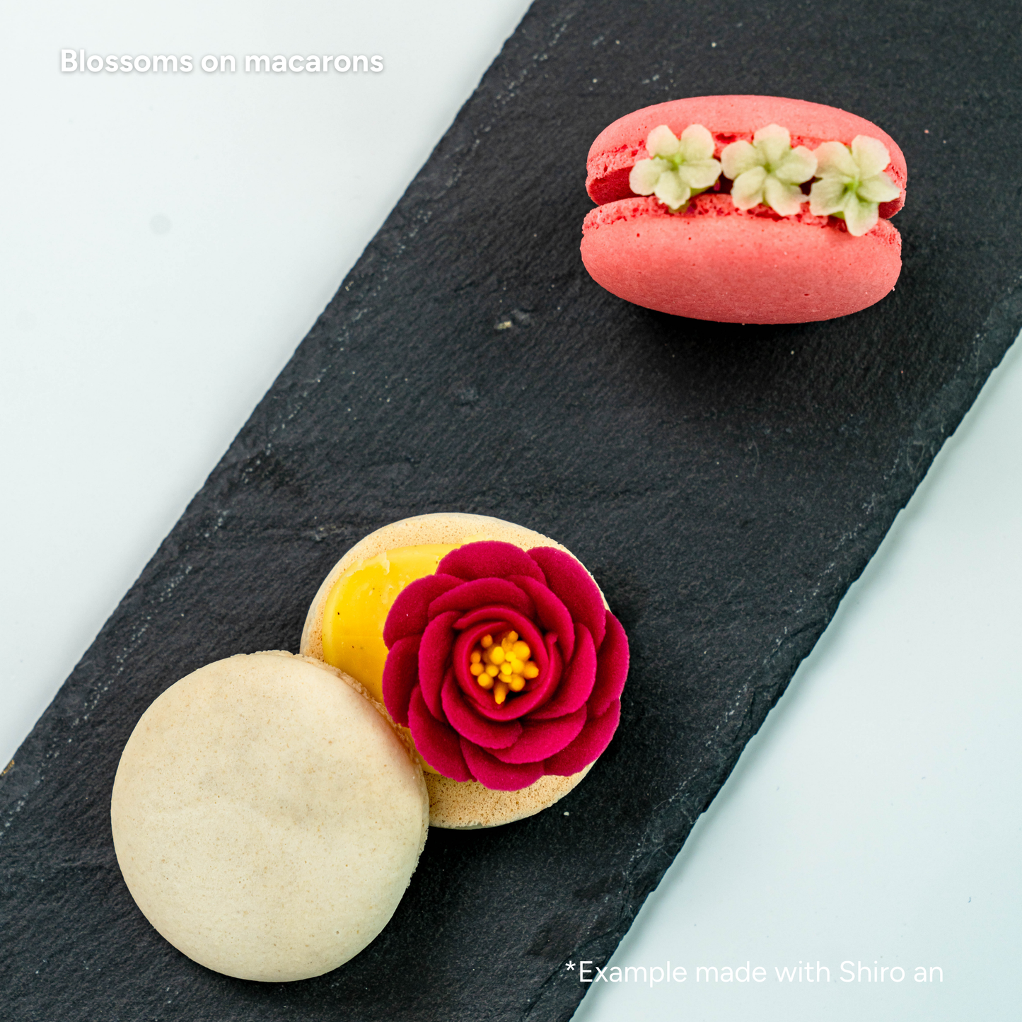 Shiro-an (White Bean Paste) 250g with color powder/ For Flower Piping