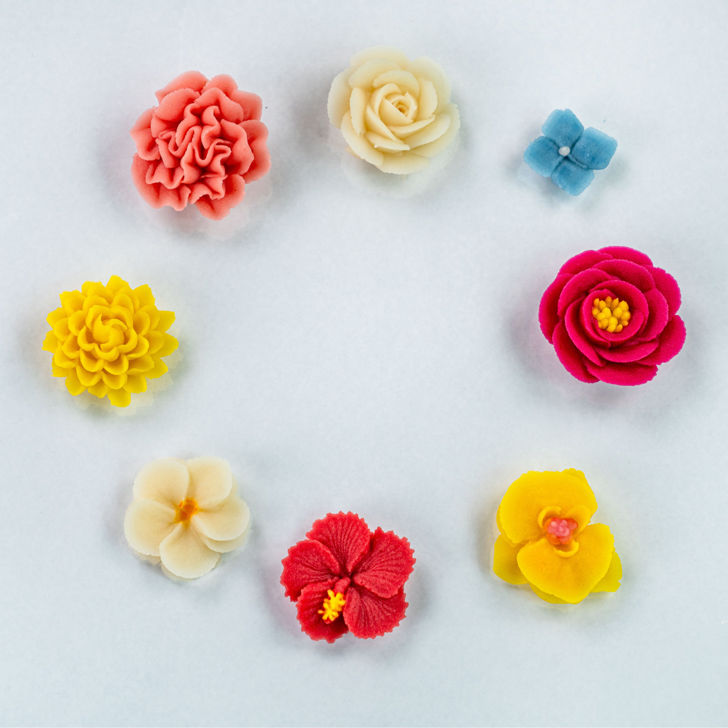 HANASHIBORI Learning Course