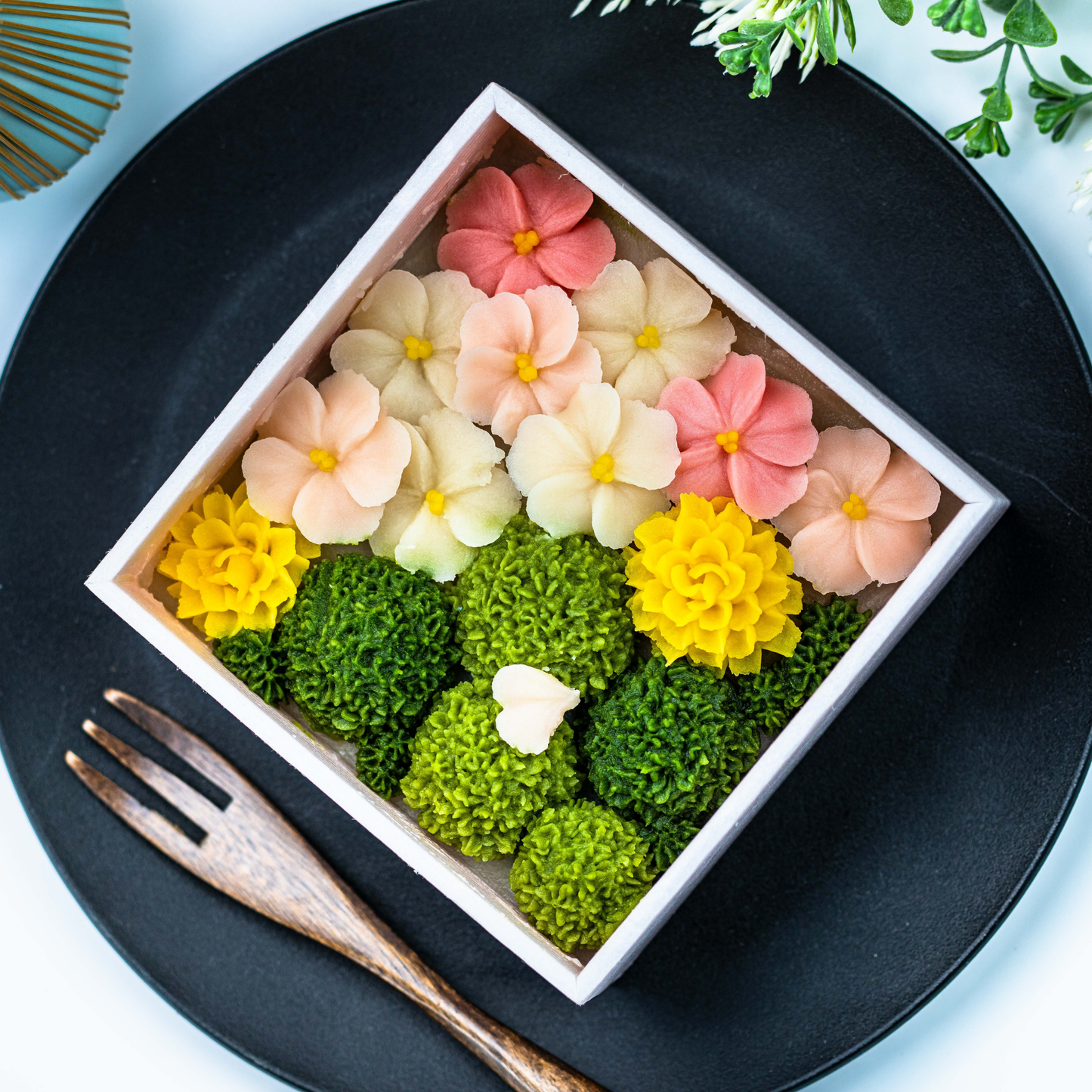 HANASHIBORI Learning Course